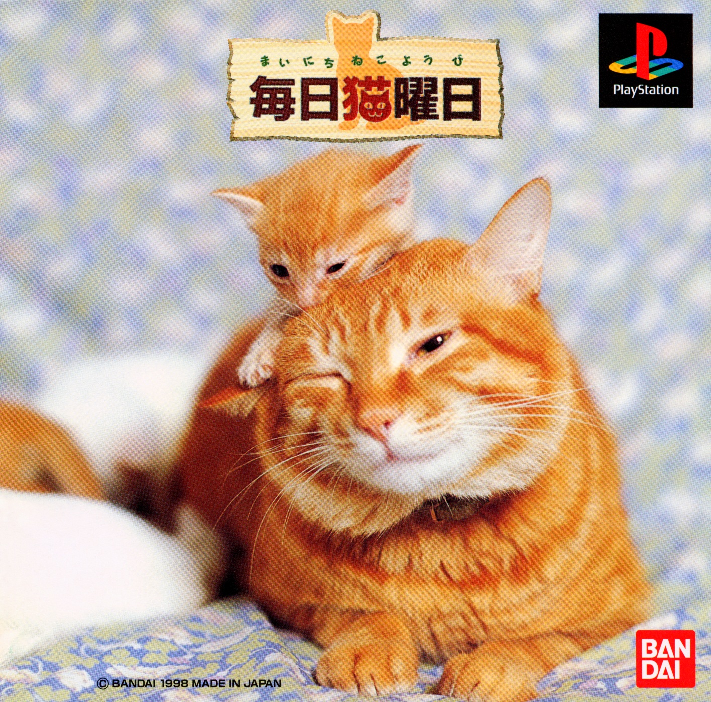 Mainichi Neko Youbi