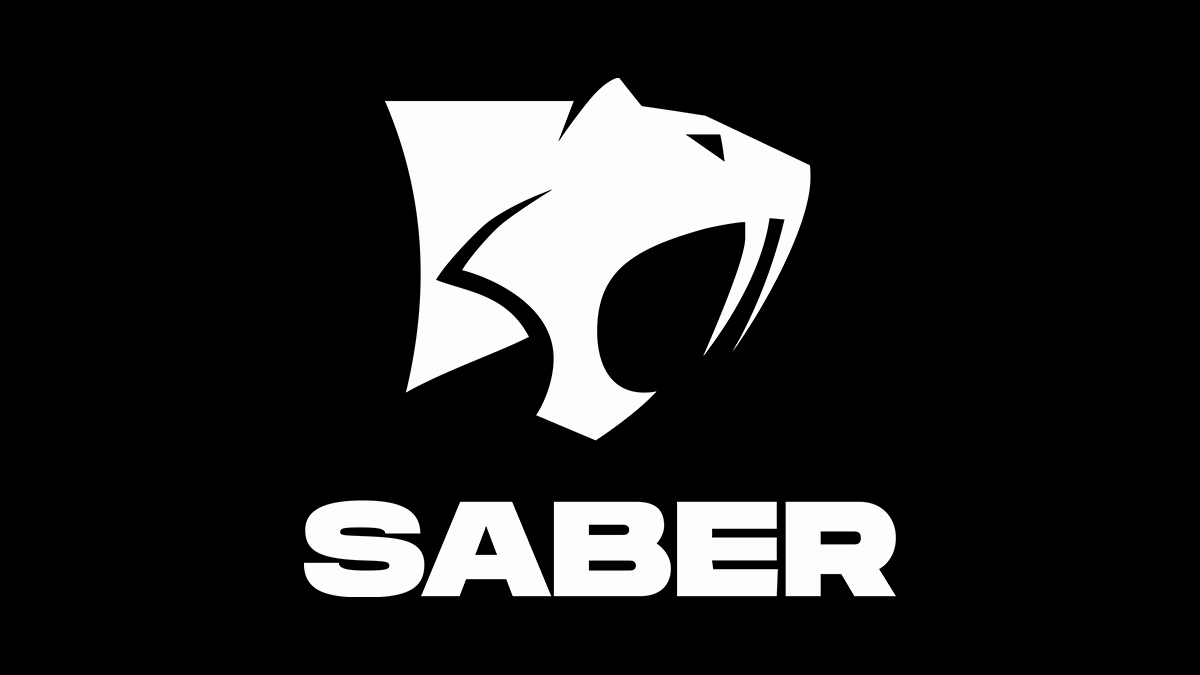 Logo de Saber Interactive Inc